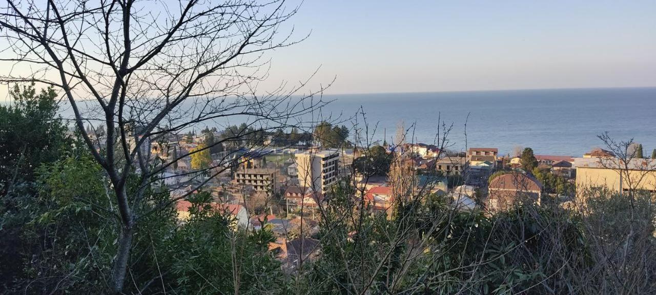 Отдых У Анаиды Gagra Exterior foto