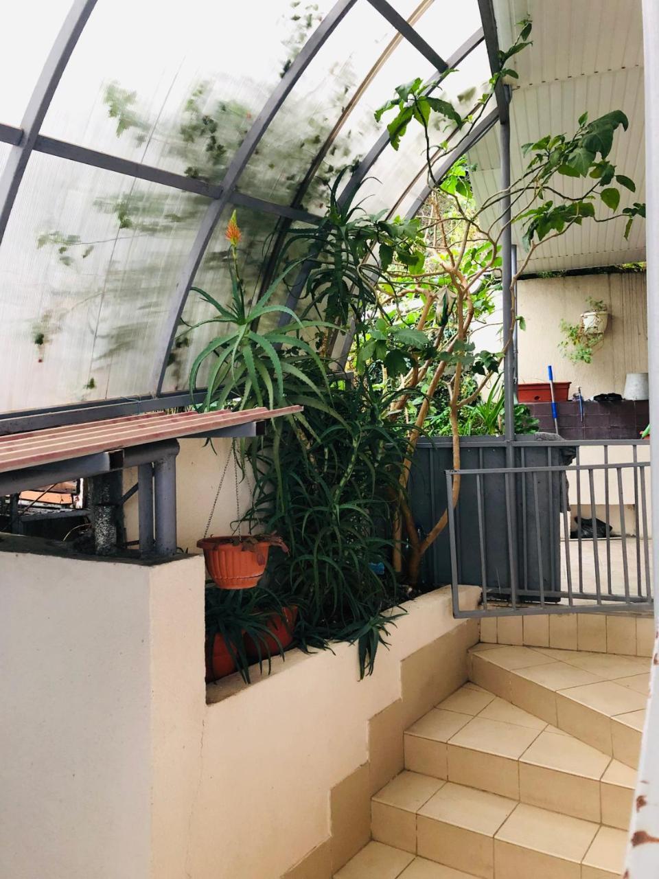 Отдых У Анаиды Gagra Exterior foto