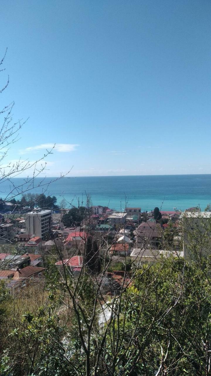 Отдых У Анаиды Gagra Exterior foto