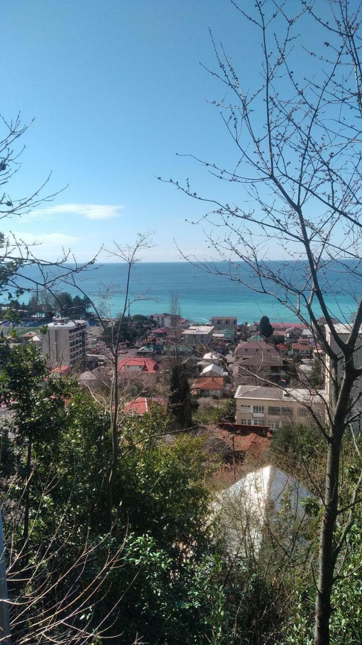 Отдых У Анаиды Gagra Exterior foto
